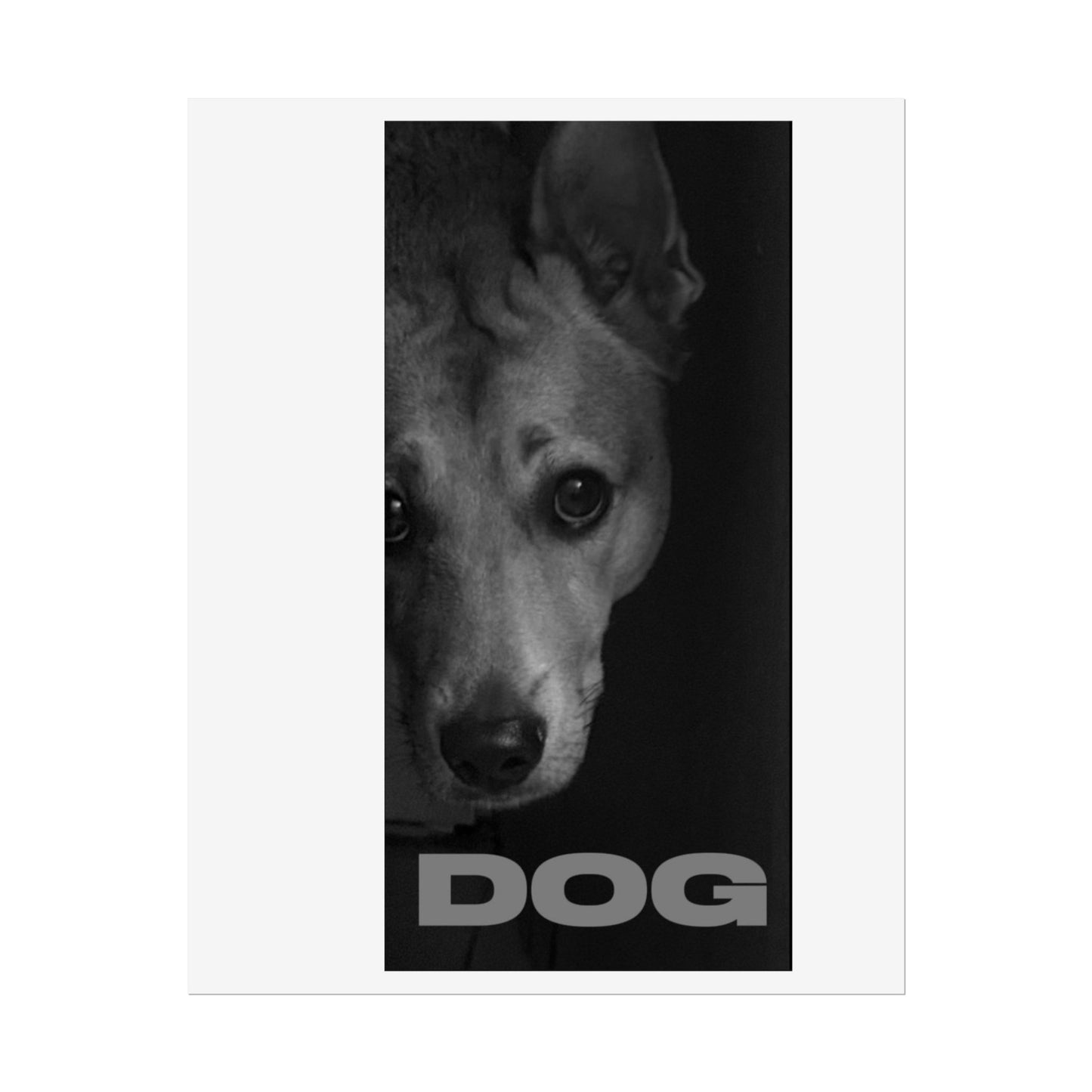 Dog Portrait Poster — Monochrome Rolled Wall Art