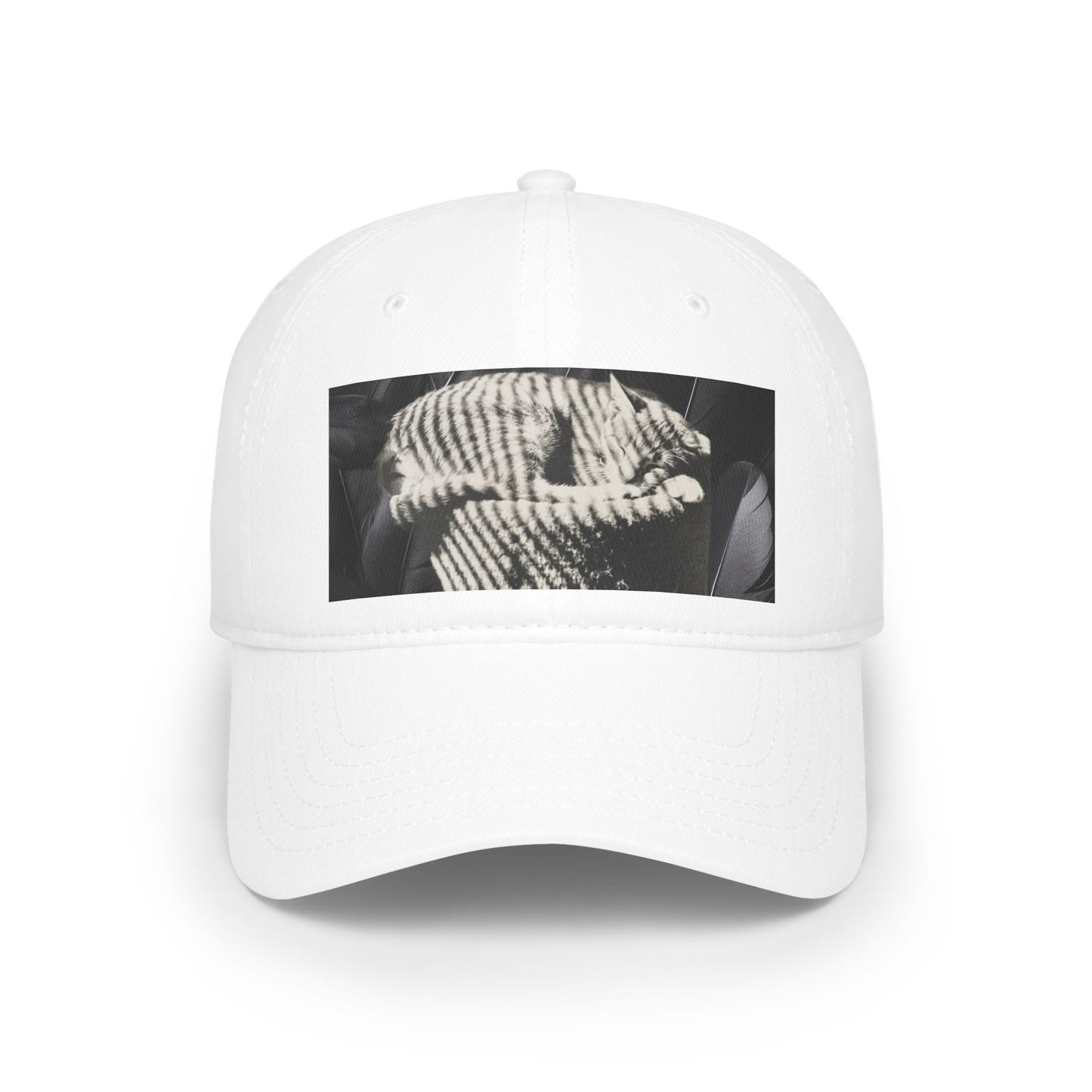 Cat-Inspired Low Profile Baseball Cap — Cat Lover Hat