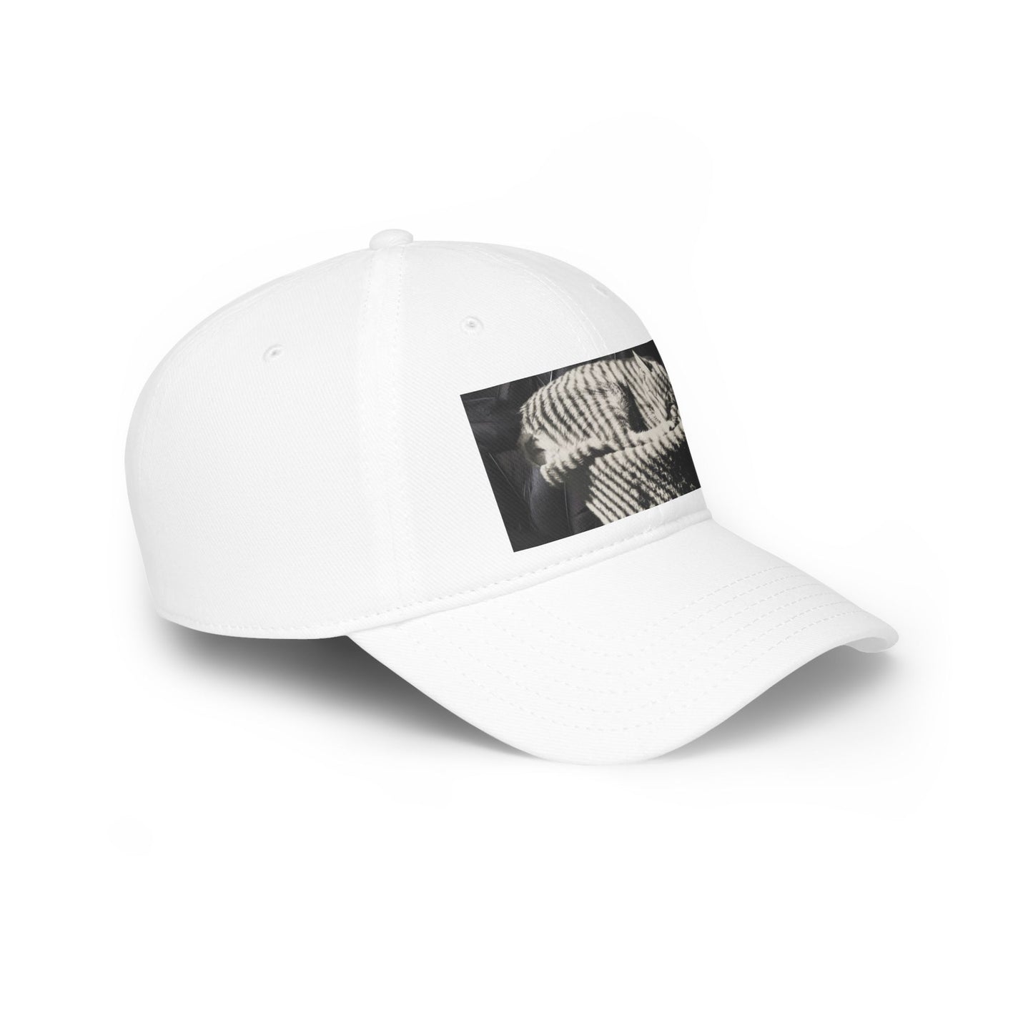 Cat-Inspired Low Profile Baseball Cap — Cat Lover Hat